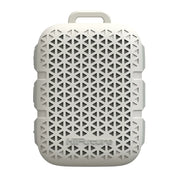 Wireless Speaker Pocket S
